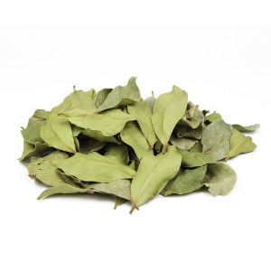 산그리메 약초 국내산 건조 구아바 잎 100g